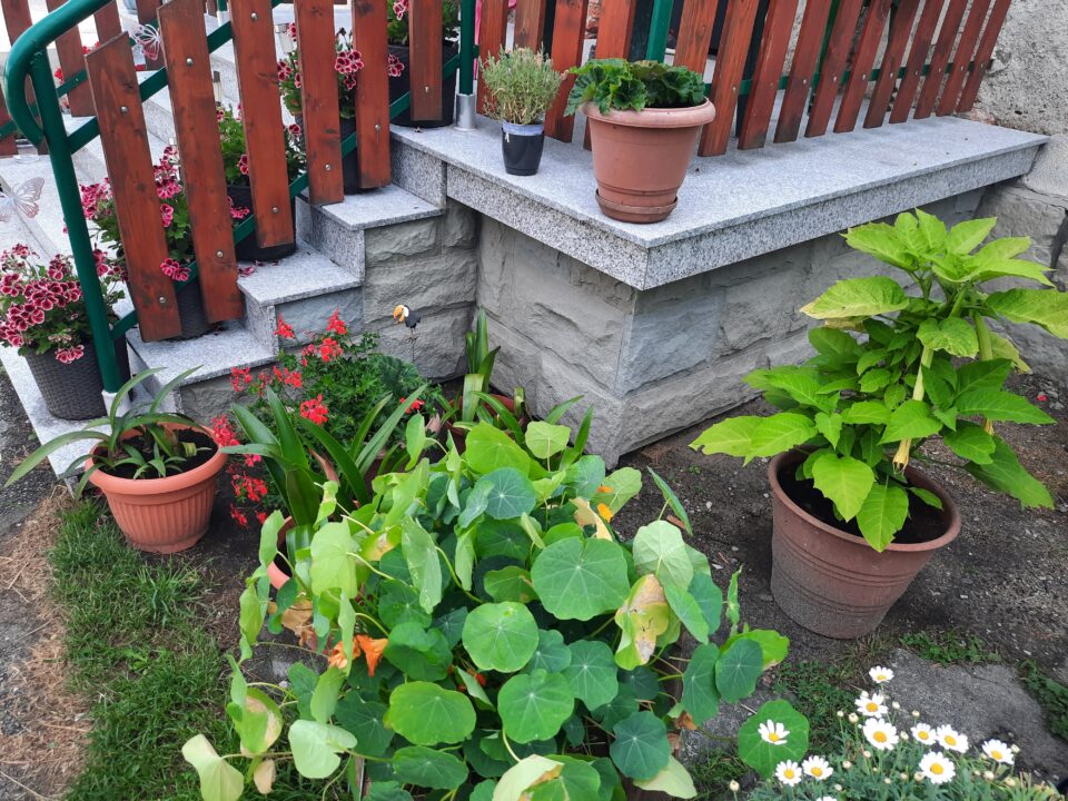 montaż schodów i parapetów